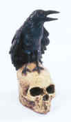 Crow Skeleton Latex Prop