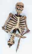 Skeleton Prop